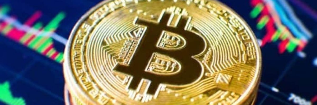 Bruno Leonardo banner