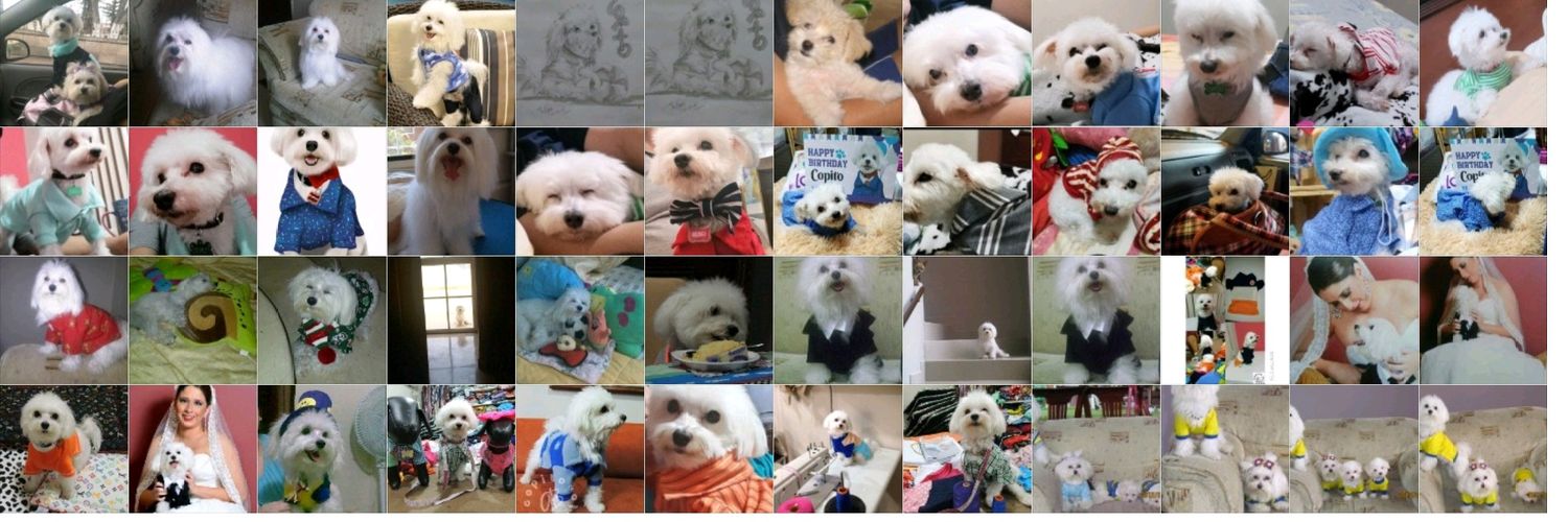 CopitoGb's profile banner image