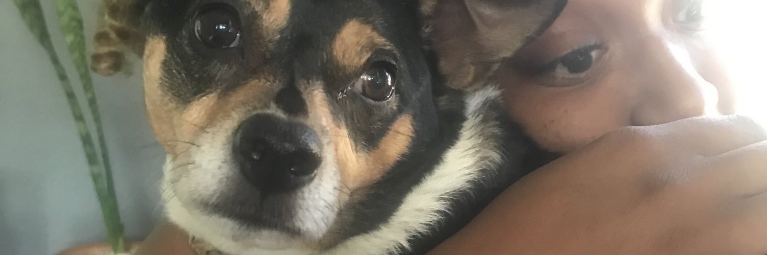 effytx23's profile banner image