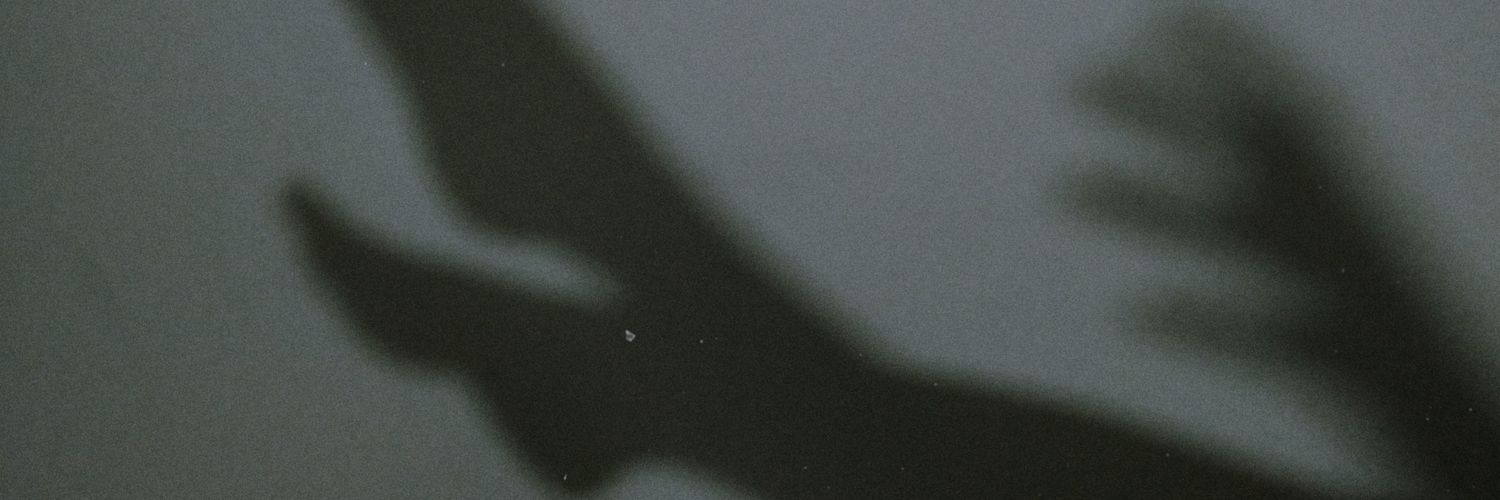 Manuchau3013's profile banner image