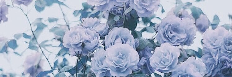 _______97k's profile banner image