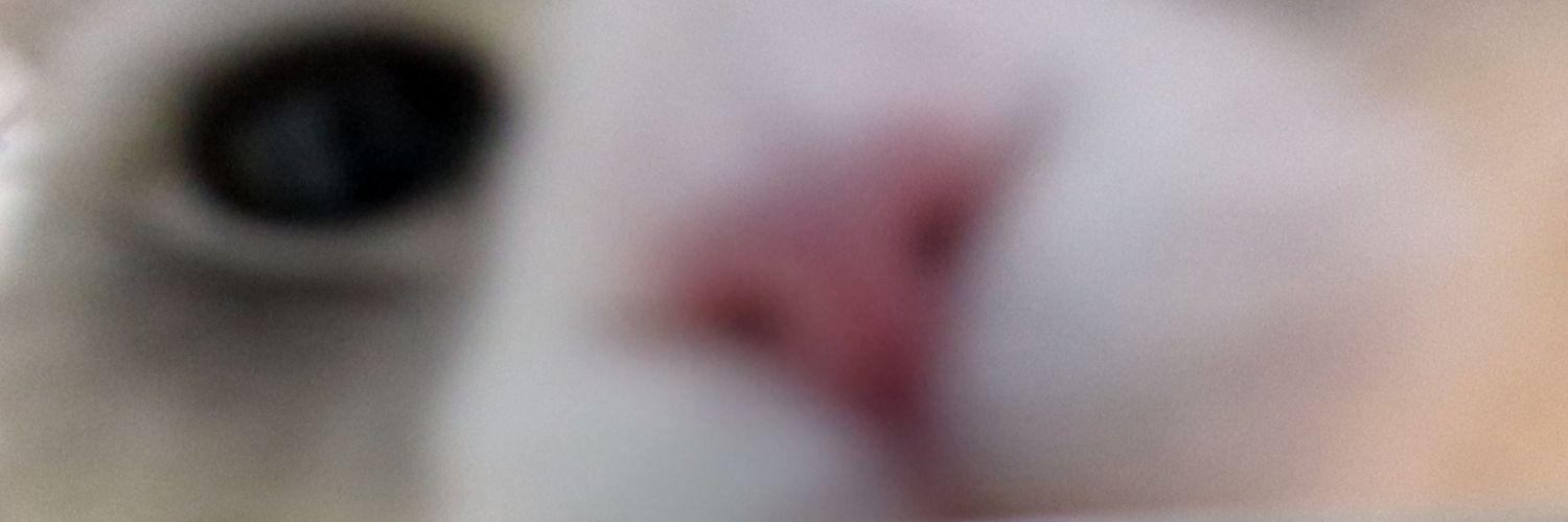 wff1408's profile banner image