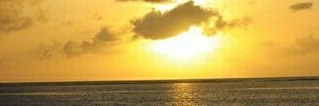 green_ibi's profile banner image