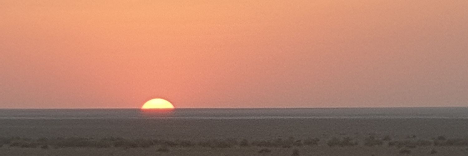 mRizvandi's profile banner image
