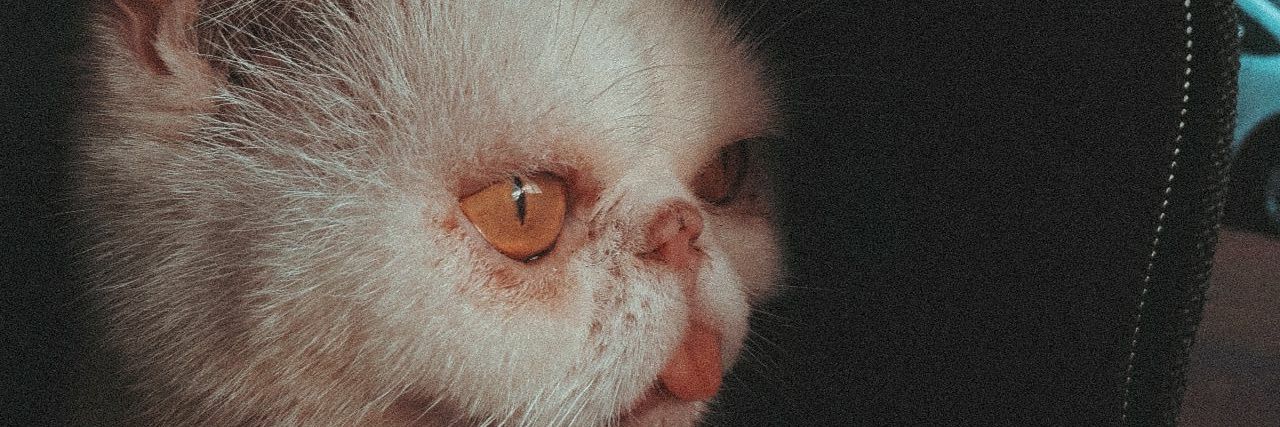 IrinaRamirez2's profile banner image
