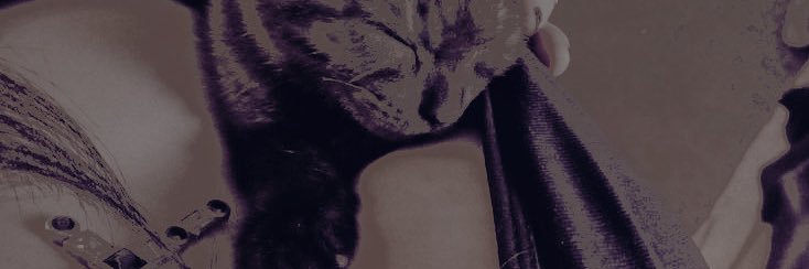 gothzlut's profile banner image