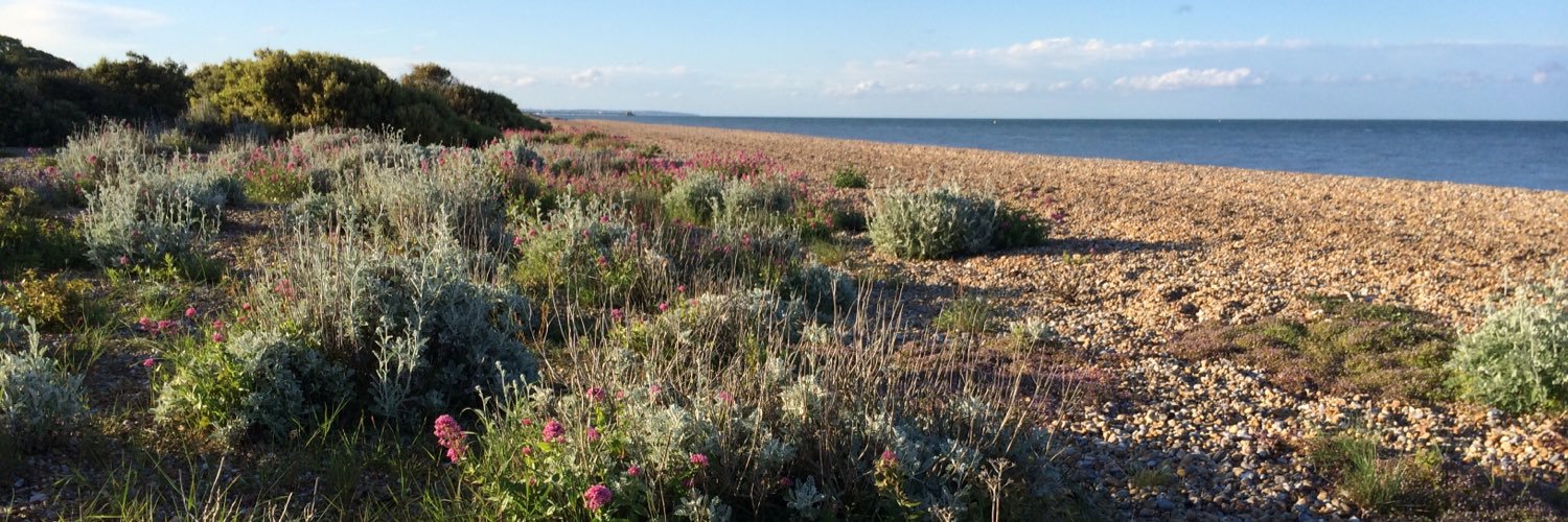 Rob Rackliffe banner