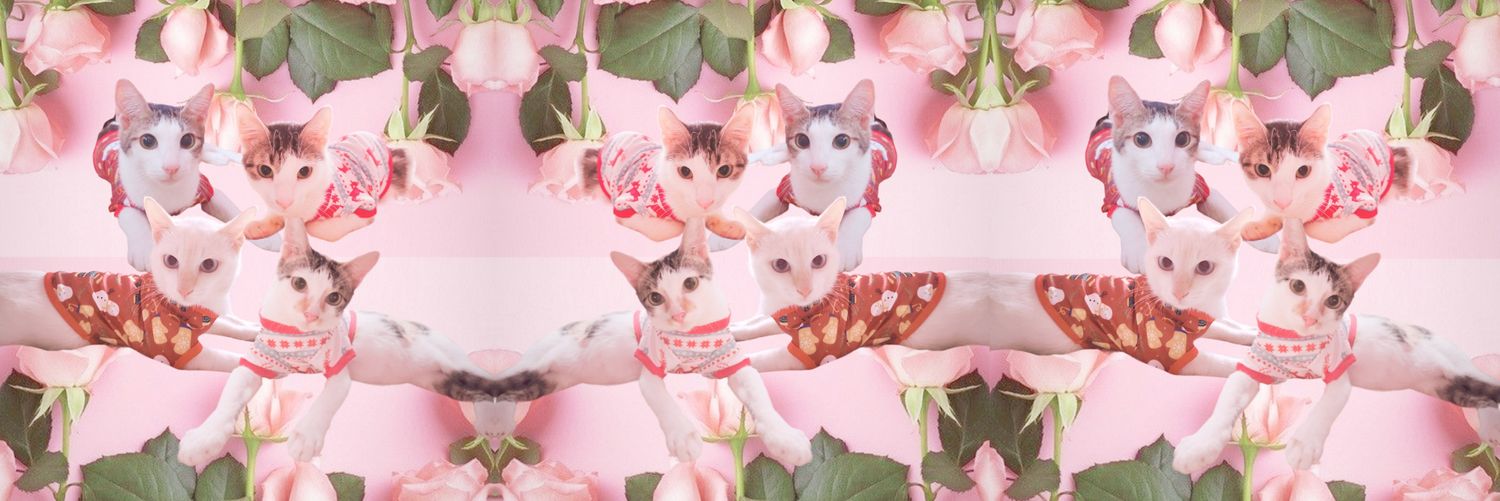abby_potchie's profile banner image