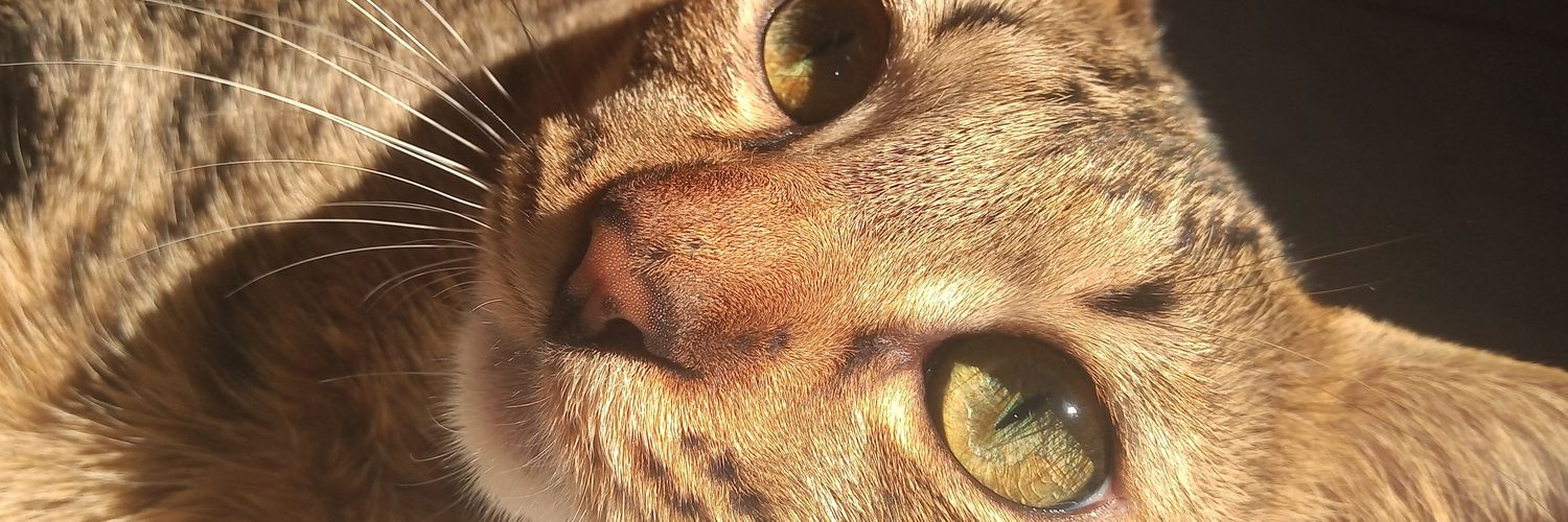 ManuRios3120's profile banner image
