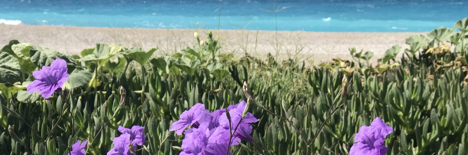 akyolender's profile banner image