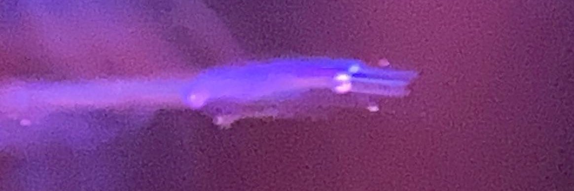 justindemus's profile banner image