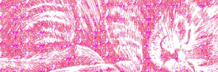 ... banner