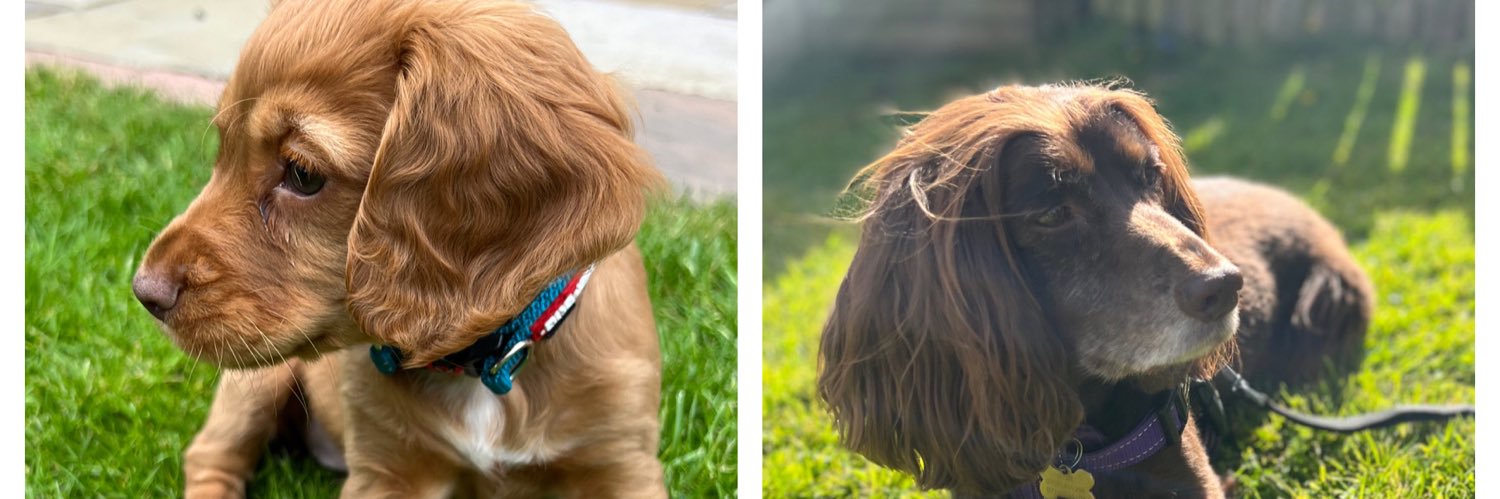 Jayne Addison banner