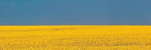 theBrc007's profile banner image