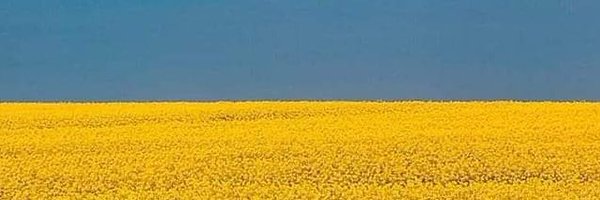 theBrc007 Profile Banner