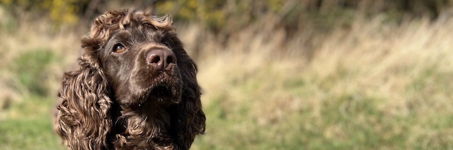 millie_jobson's profile banner image