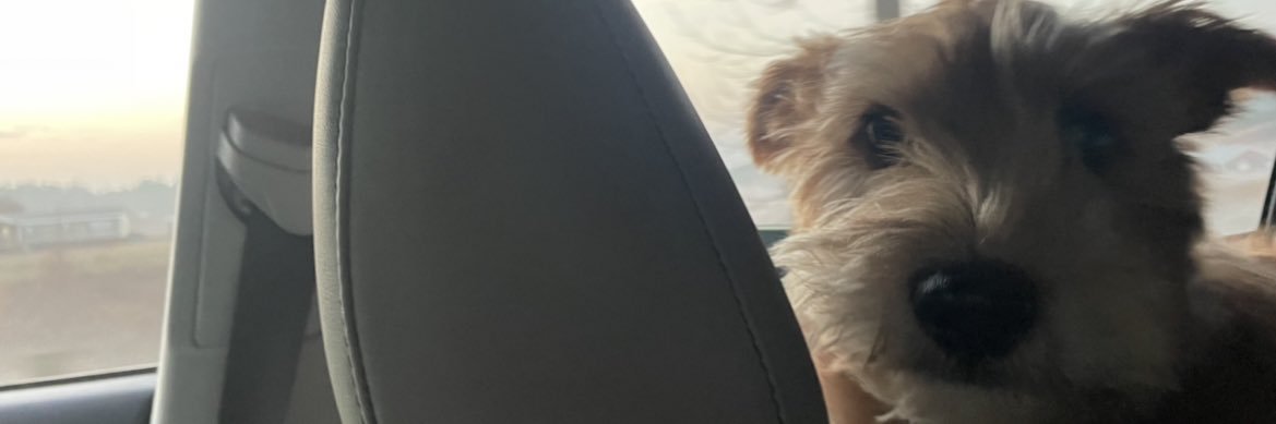 sethmclendonz's profile banner image