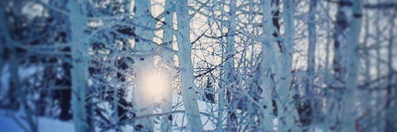 Cmking_lpc's profile banner image