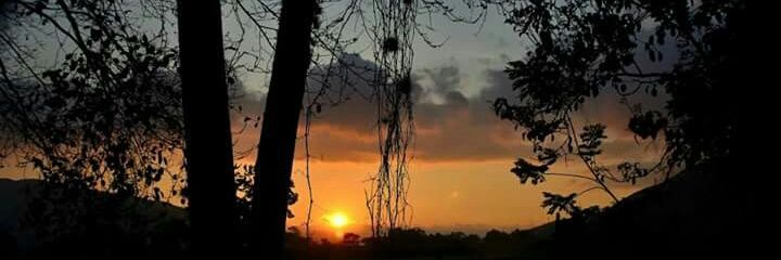 INLARBOR's profile banner image