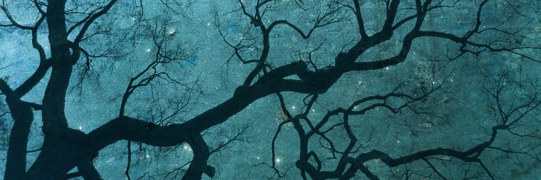 Obscurum Oculus banner