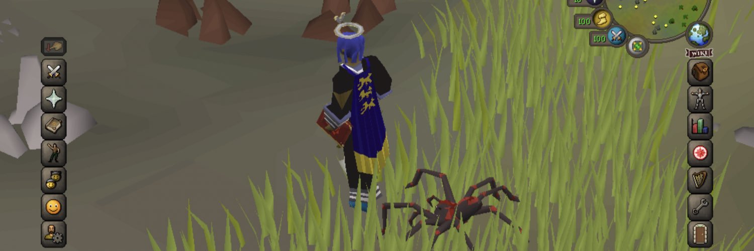 Perrserker banner