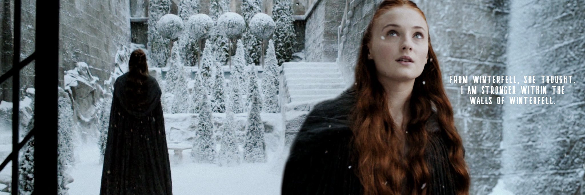 𝑺𝑨𝑵𝑺𝑨. banner
