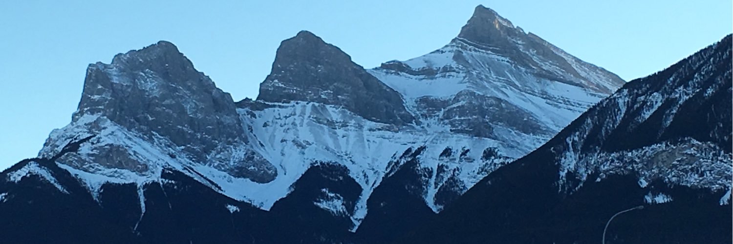 Nancy Beauchemin banner