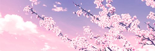 chronicsundries's profile banner image