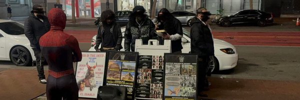 hpflelct Profile Banner