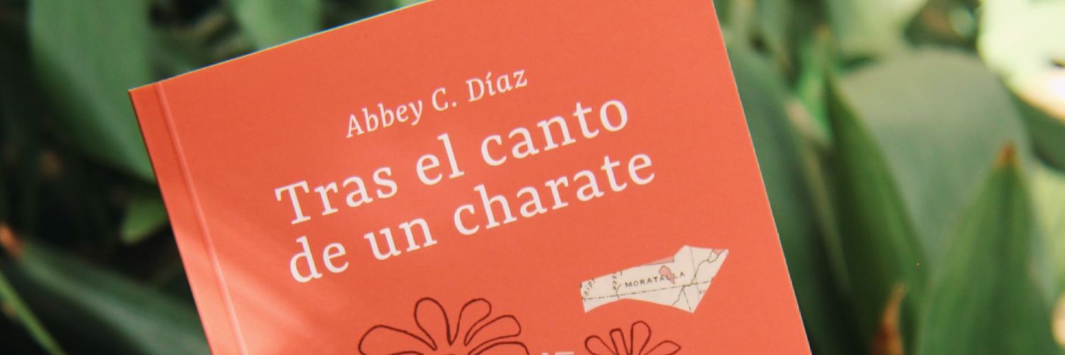 abbey c. díaz 🌼 banner