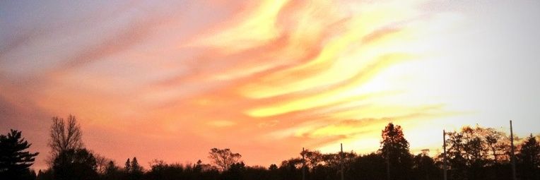 nnegri98_'s profile banner image