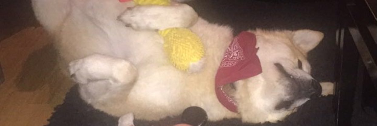 EmmanuelleJENN's profile banner image