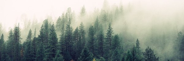 SarkerManash Profile Banner
