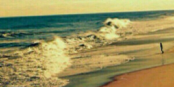 Al_hanen1's profile banner image