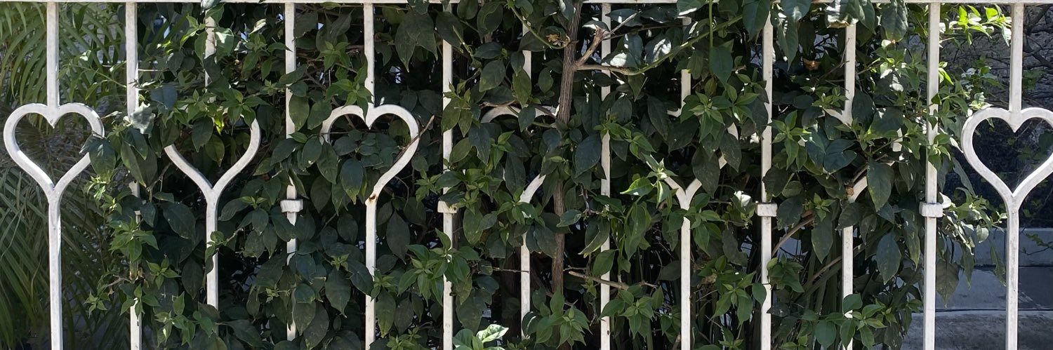 tr0phyfemme's profile banner image