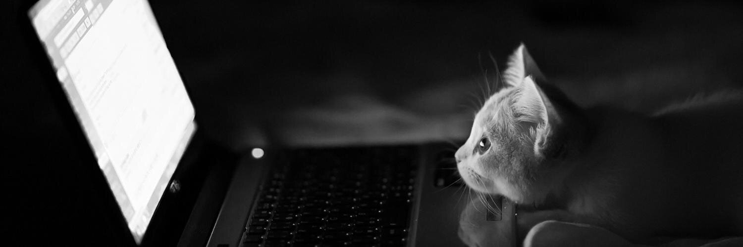 MyWiSya's profile banner image