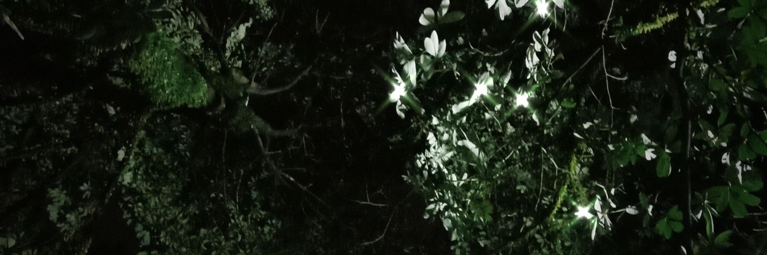 Zriafiq's profile banner image