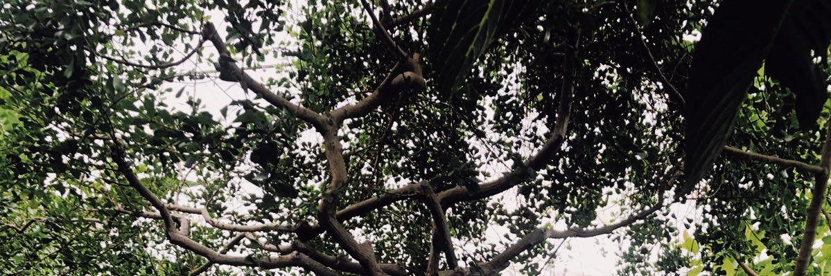 Morgane_Lmsle's profile banner image