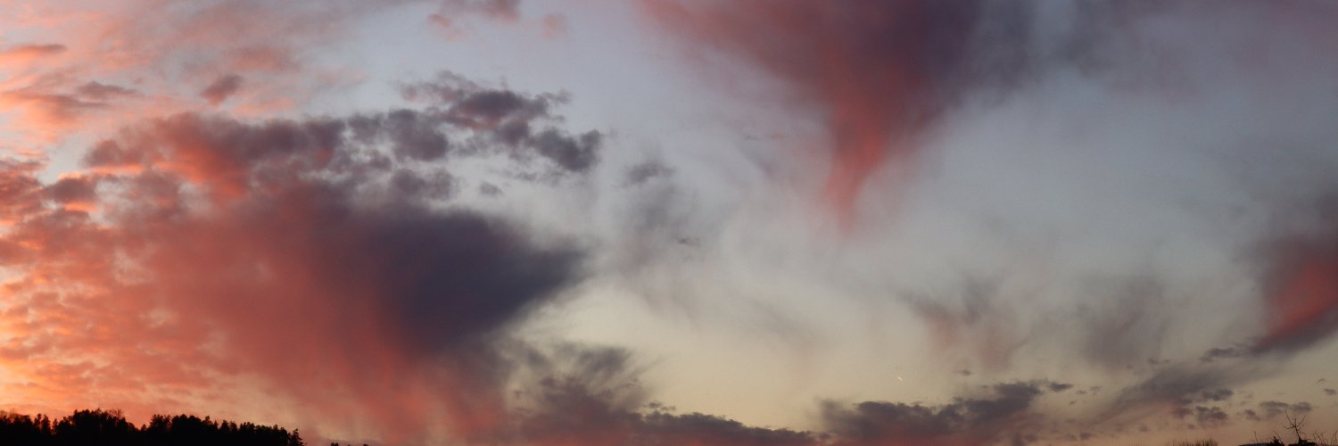 rupfau's profile banner image