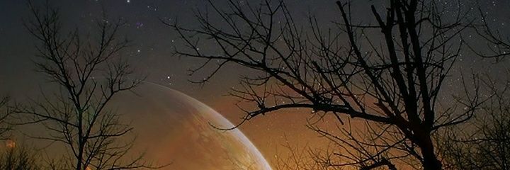 atef_altayyeb's profile banner image
