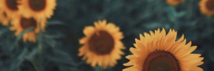 _abigailmae's profile banner image