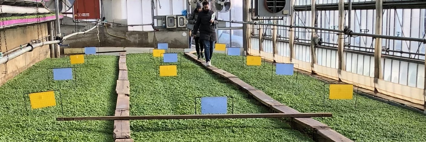 roberto panizza banner