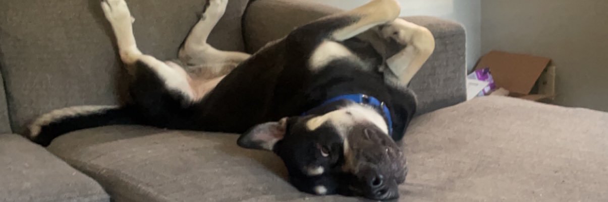 logan_648's profile banner image