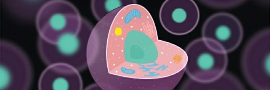 SweetyChekkan's profile banner image