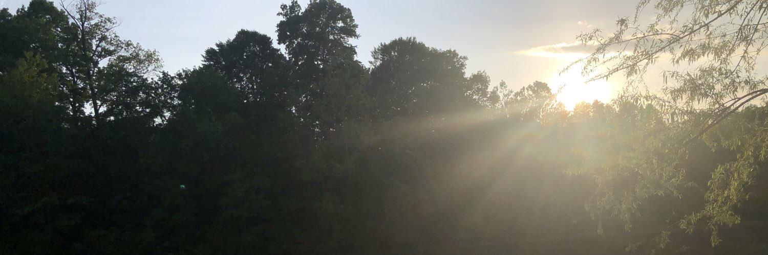 maldaboo's profile banner image