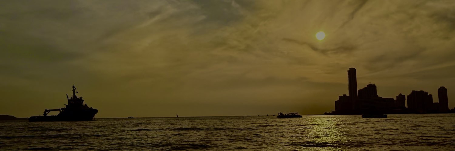marthacampom's profile banner image