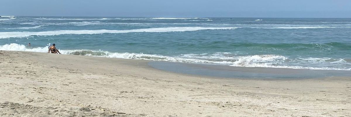 tanocarasi's profile banner image