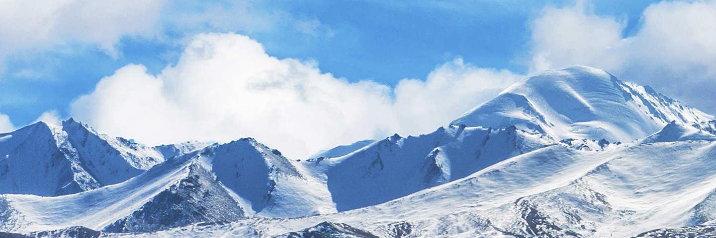 baoqing8's profile banner image