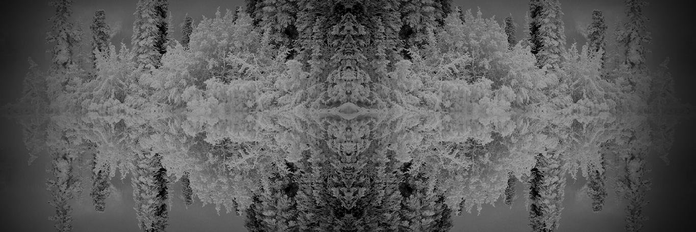 miniranas's profile banner image