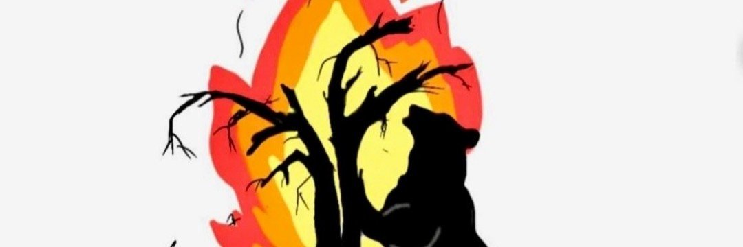 cuentafanmisova's profile banner image